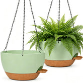 zople front view showing two hanging planters and curb appeal benefit
