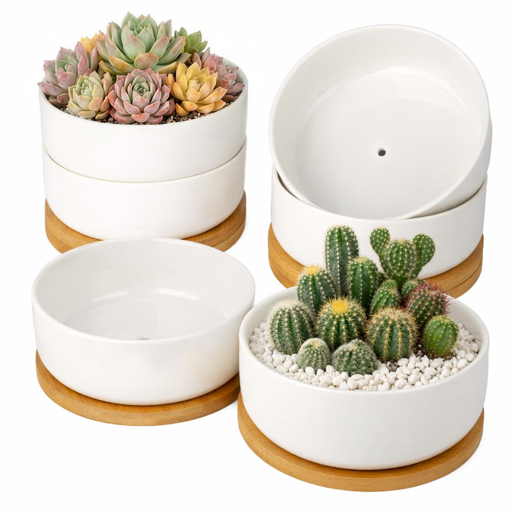 ZOUTOG front view of six white ceramic succulent pots set neatly