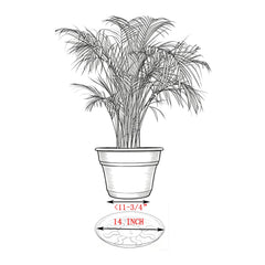 ZZPYXIA elevated feet detail highlighting air flow and root protection