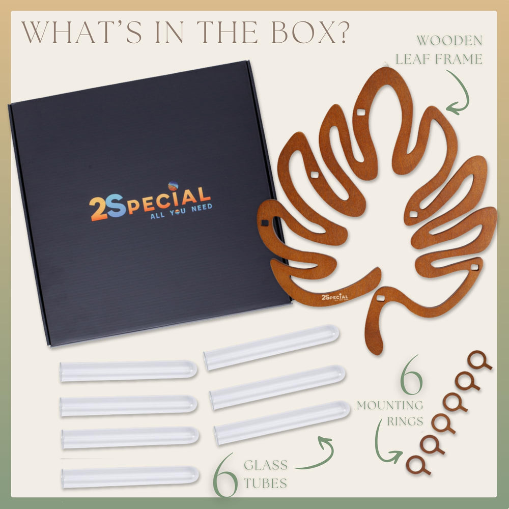 2Special All You Need styled on shelf and wall showing lifestyle decor and gifting benefit