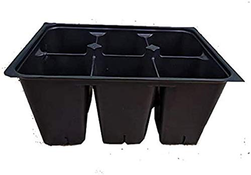 AAAmercantile close-up of a single 3-inch deep cell revealing smooth interior and easy de-potting benefit