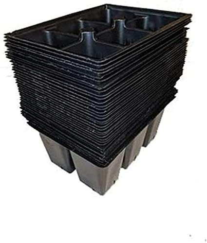 AAAmercantile trays in greenhouse with seedlings, demonstrating larger root growth and transplant readiness