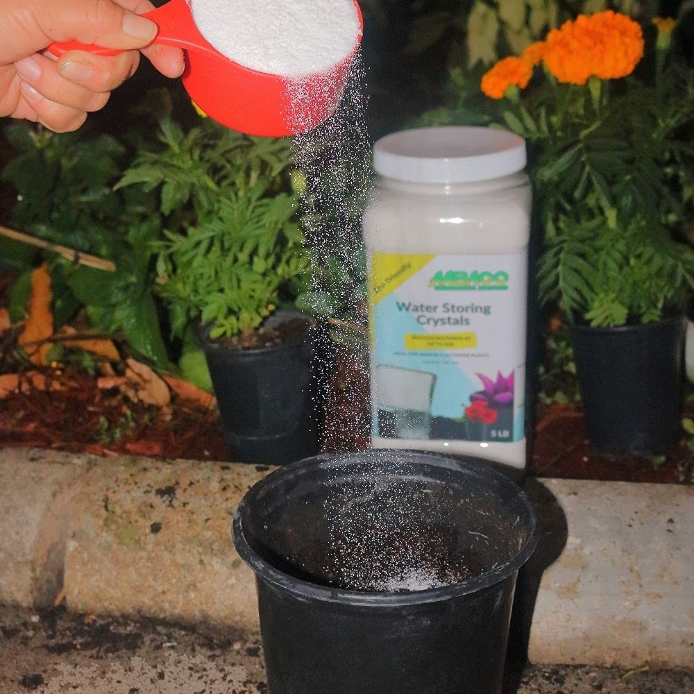 Expanded Aabaco polymer beads after watering showing swollen reservoirs providing steady moisture