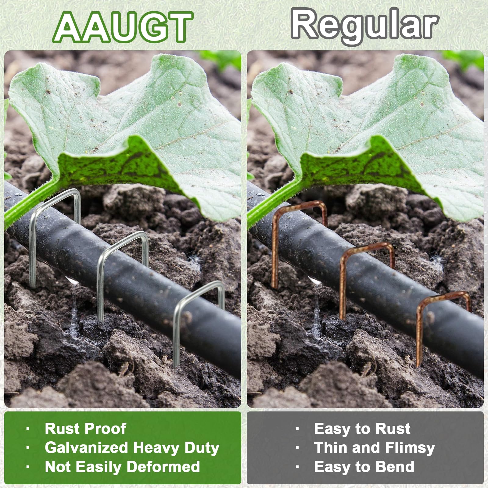 AAGUT side profile showing full 6-inch length for deep anchoring in garden beds