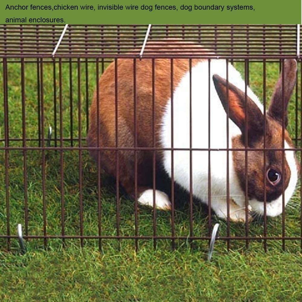 AAGUT stakes beside a ruler for size comparison showing 12-inch length and scale advantage