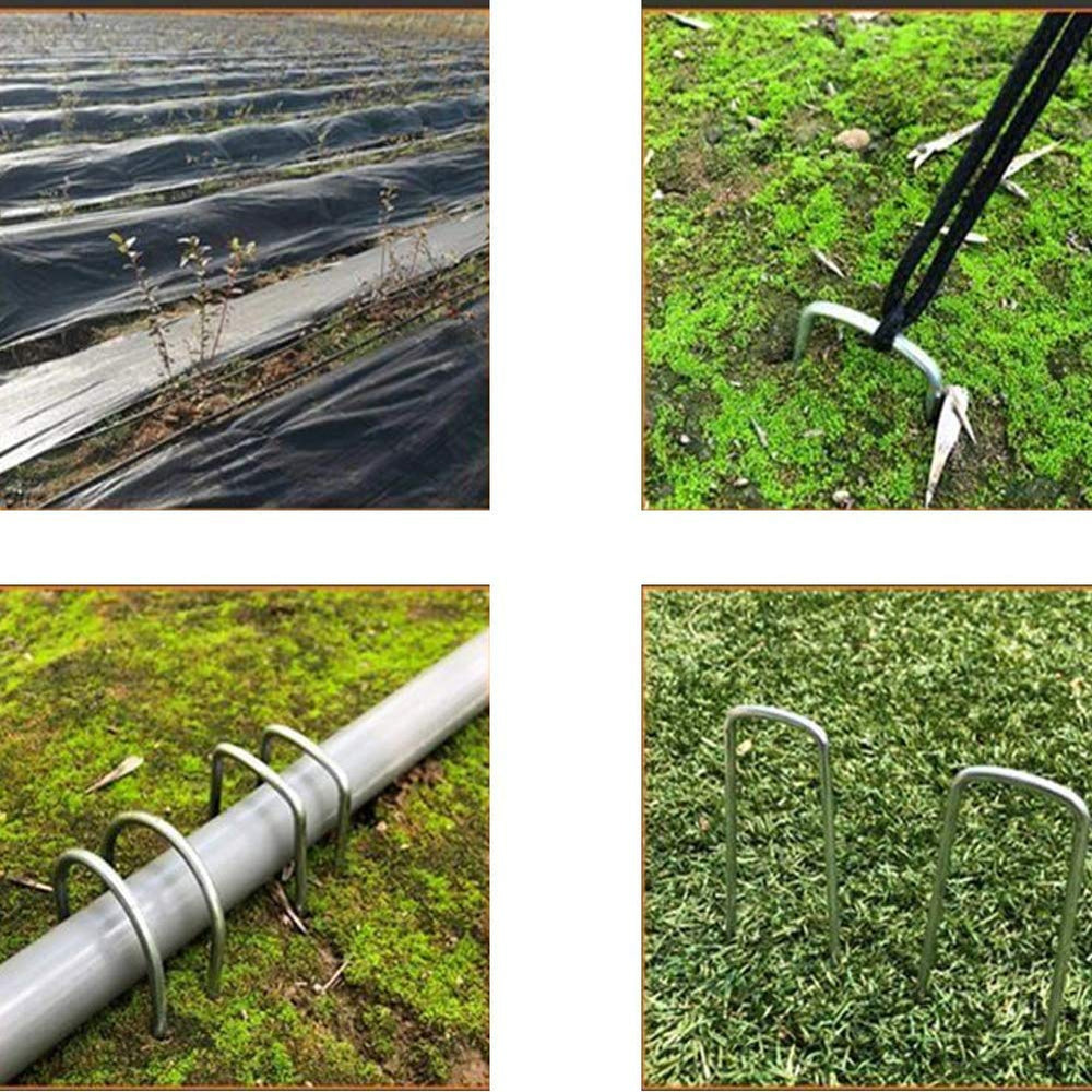 AAGUT stake anchoring drip irrigation hose indicating tidy installation and protection