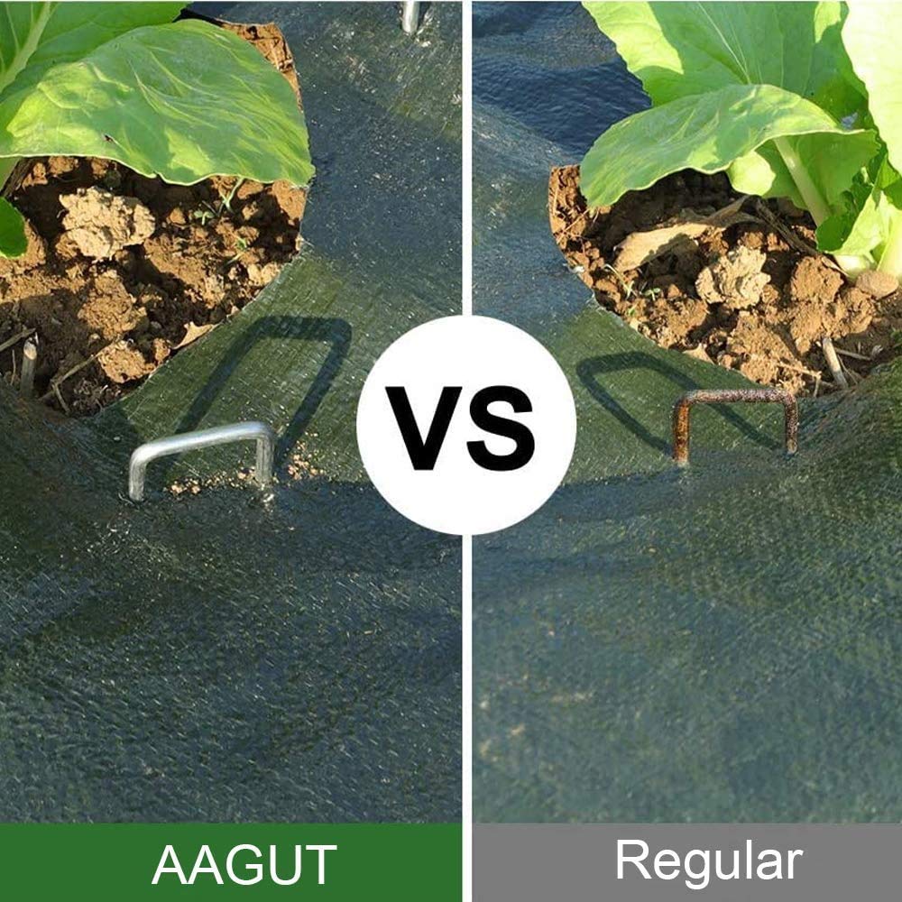 AAGUT stakes driven into soil illustrating secure hold and stability for landscaping