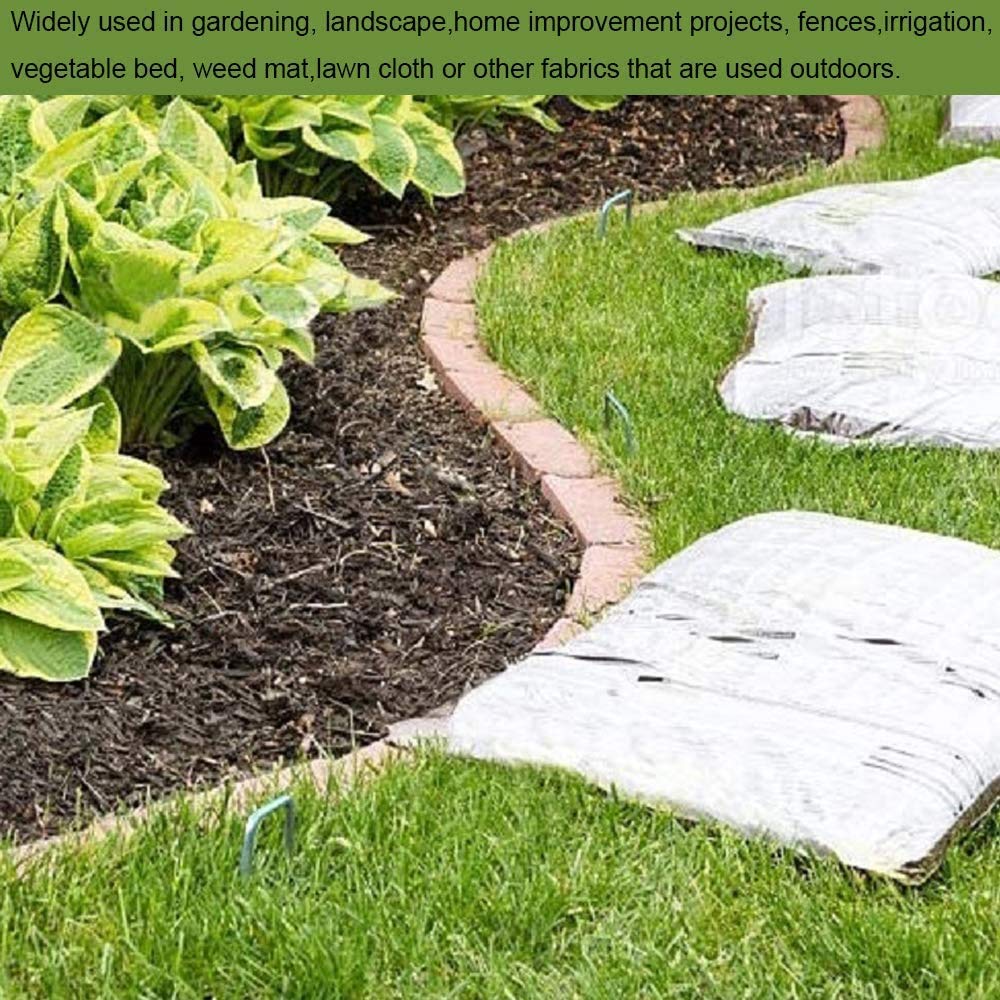AAGUT staples pinning landscape fabric down to show even coverage and anti-lift benefit