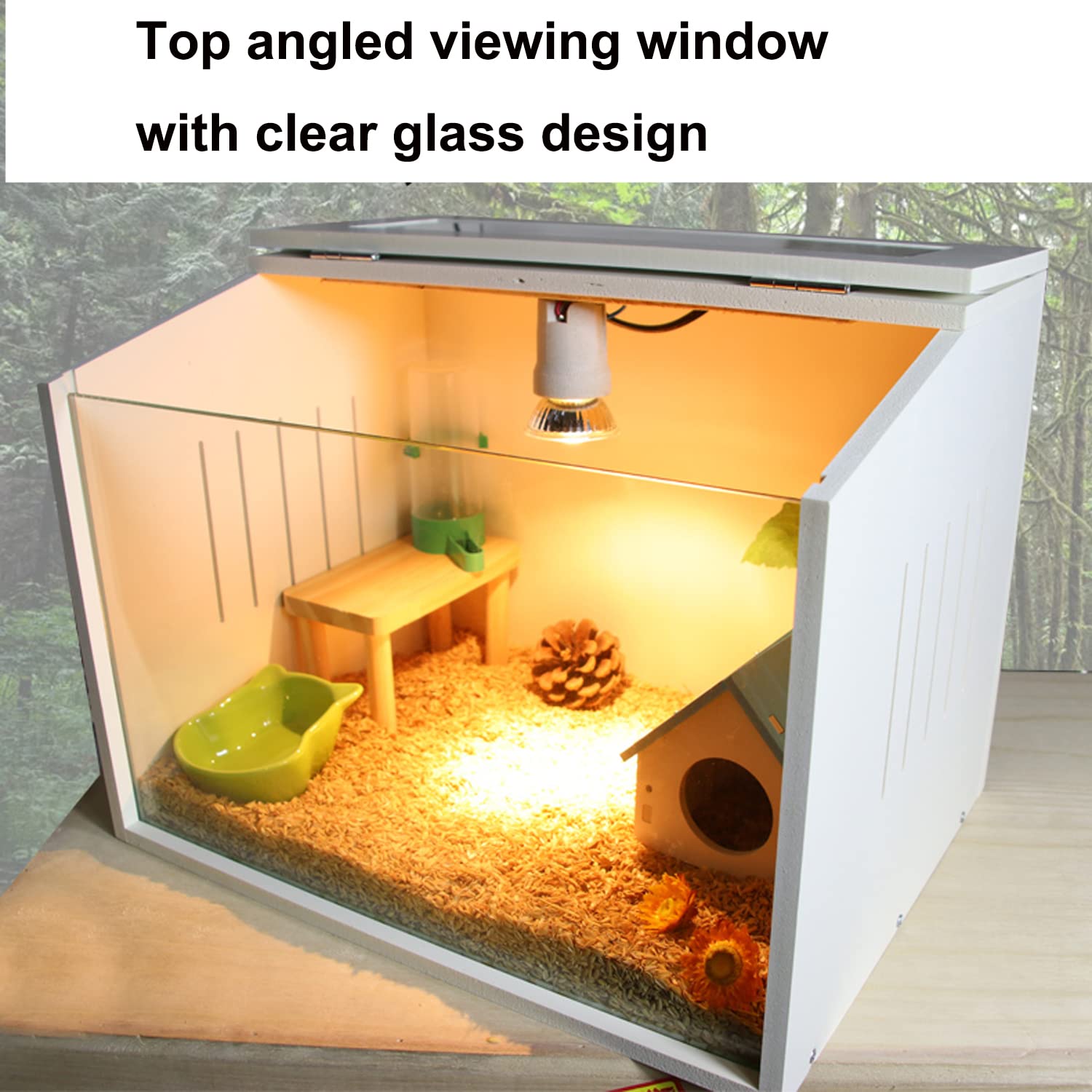 A&K L'YDIA clear top window for easy observation and quick access