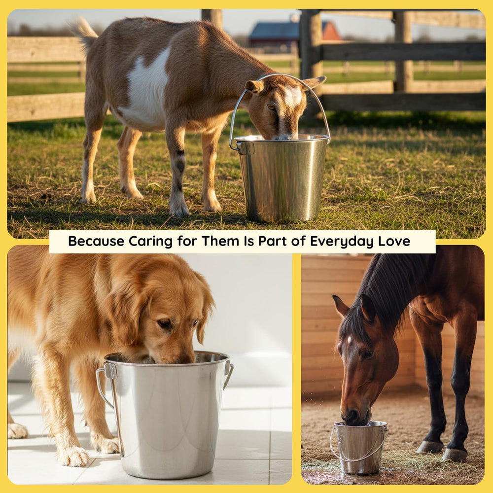 AASPIRE PETS sturdy handle detail for easy carrying and hanging