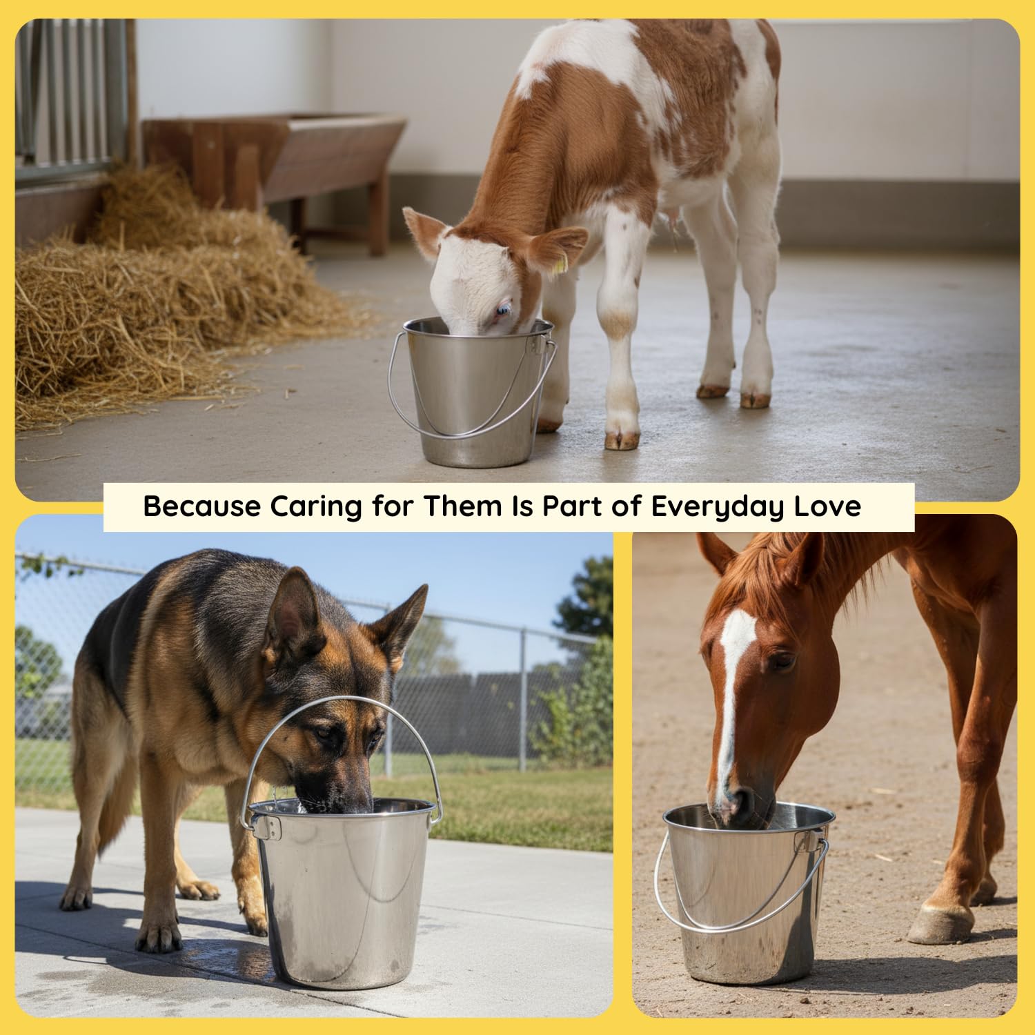 AASPIRE PETS close-up of reinforced handle for comfortable, secure carrying