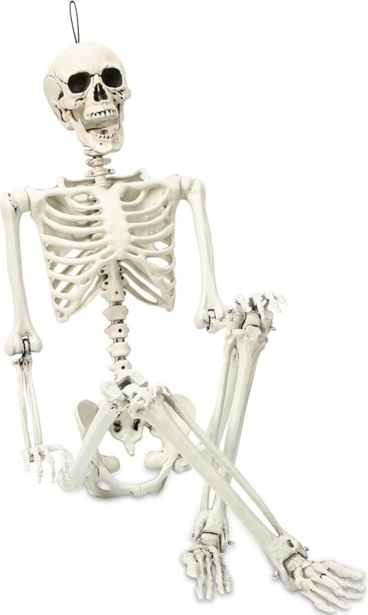 Abakuku front view full body skeleton showing realistic scale and display impact