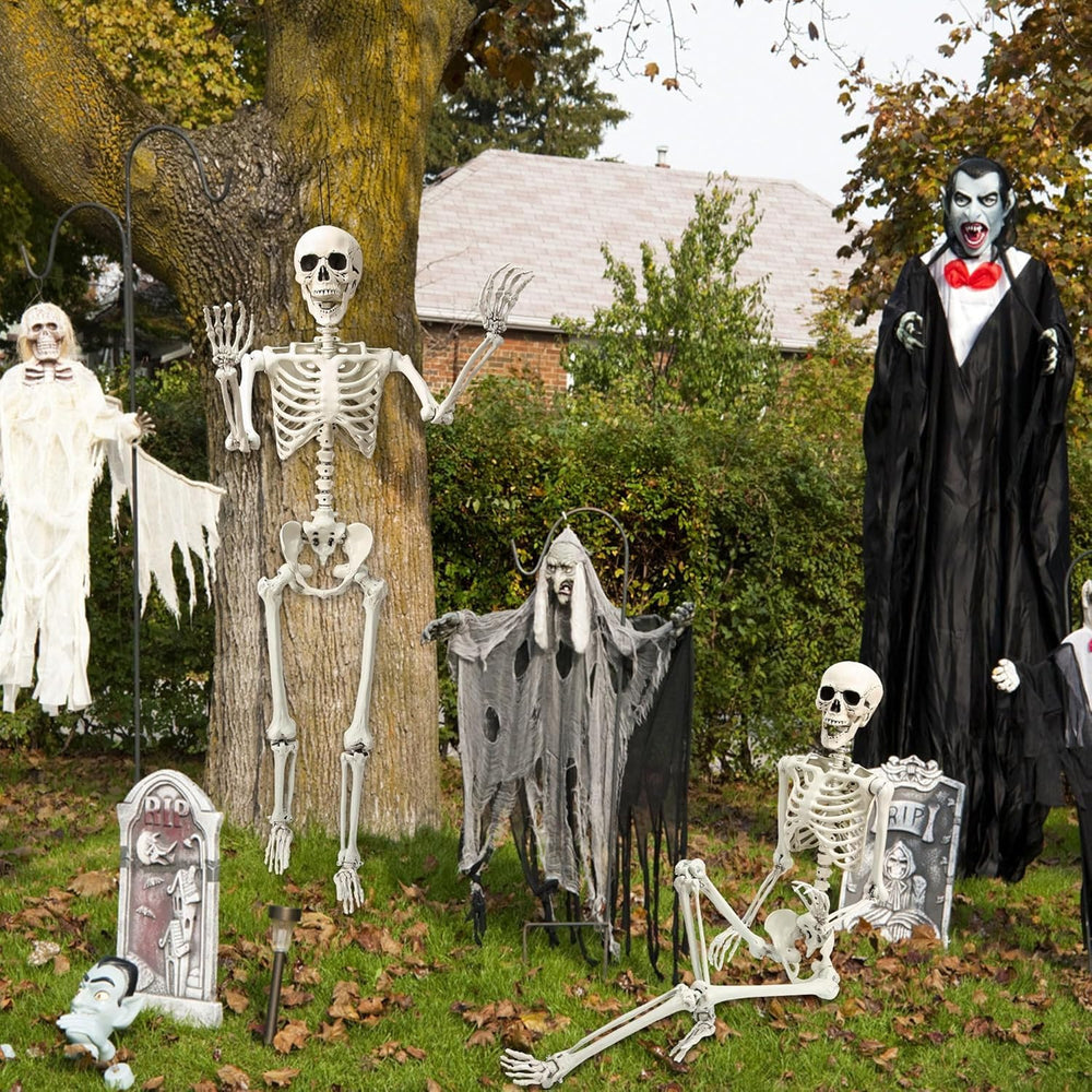 Abakuku skeleton beside chair showing life-size 5.4 ft scale for planning
