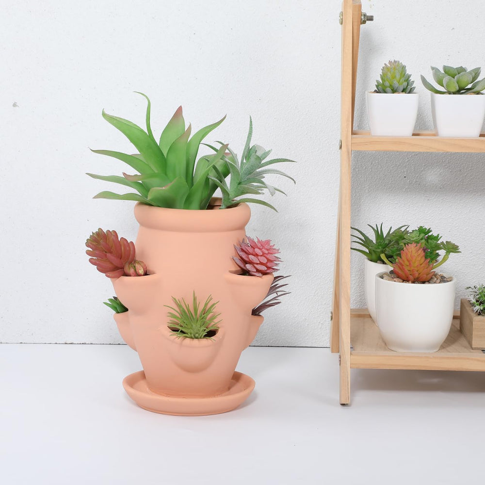 Abaodam on a balcony showing decorative use and small-space gardening benefit