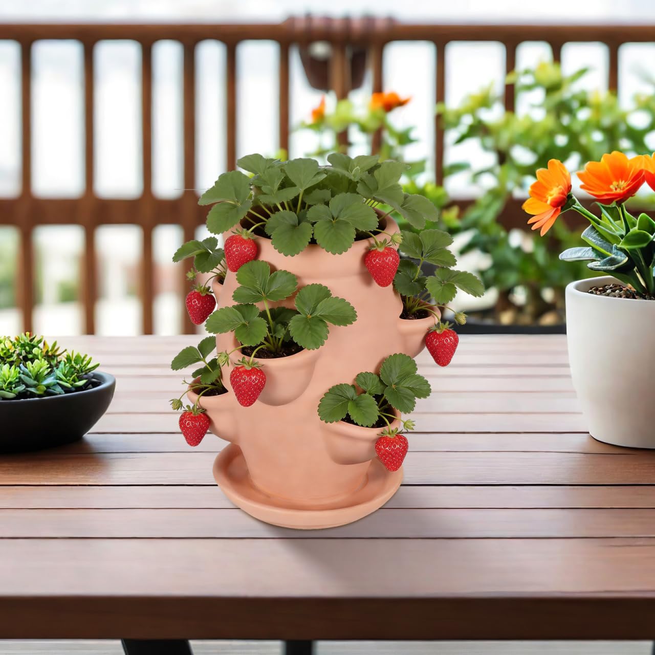Abaodam pot held in hand indicating size and easy relocation benefit