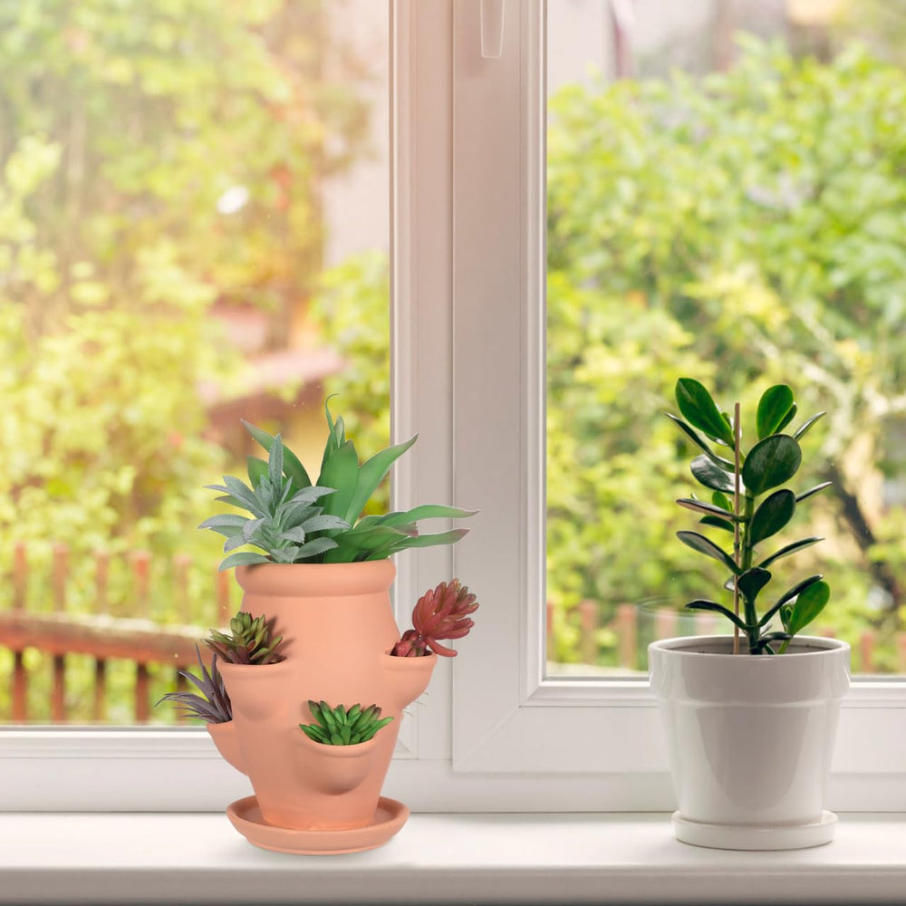 Abaodam filled with succulents showing styling ideas and low-maintenance benefit
