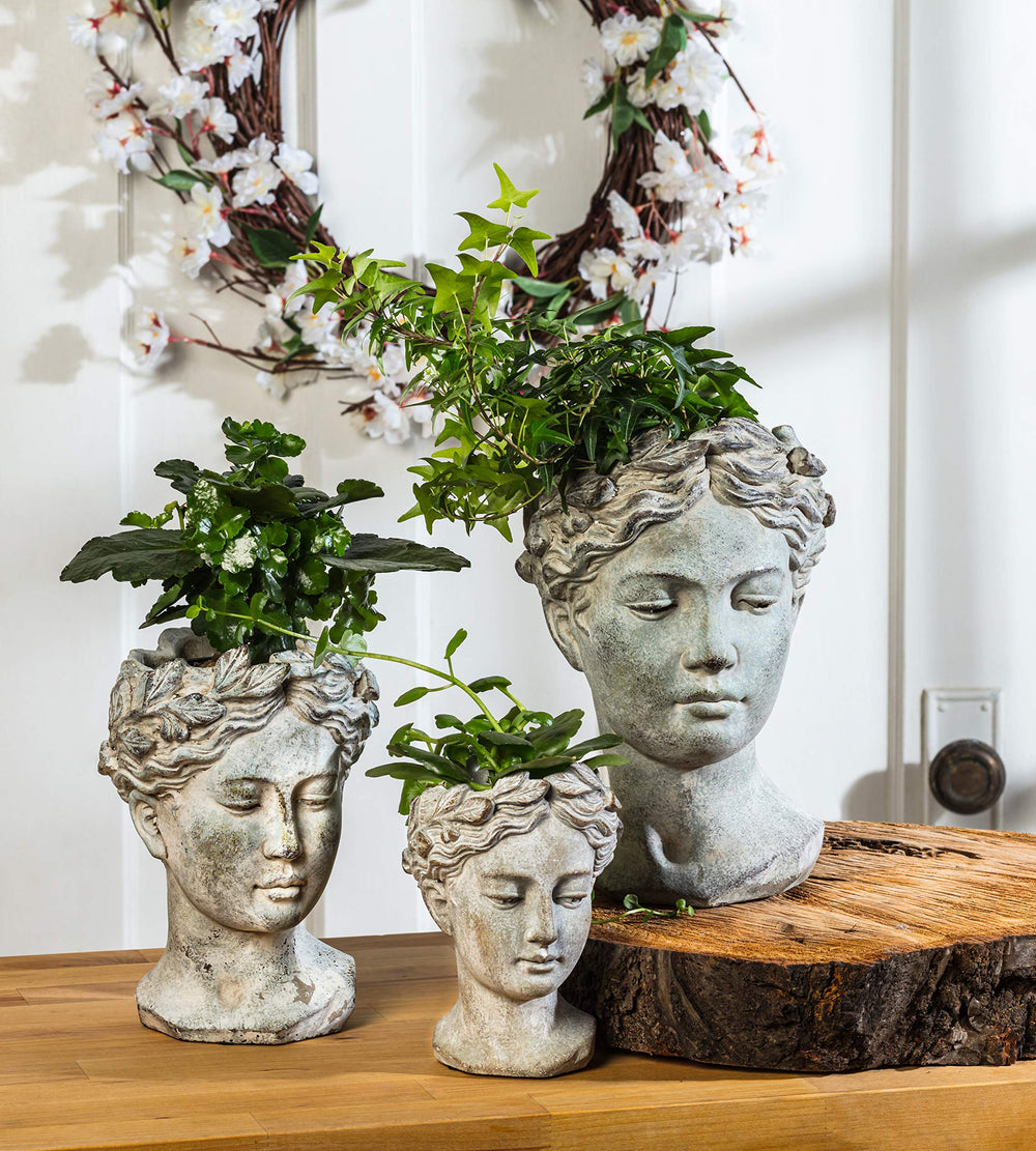 Abbott Collection planted with succulent demonstrating compact planting and visual elegance