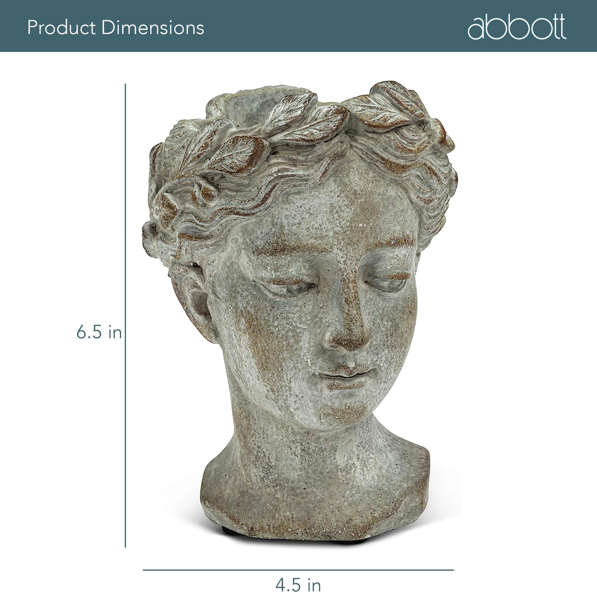 Abbott Collection Home size comparison with hand conveying compact scale