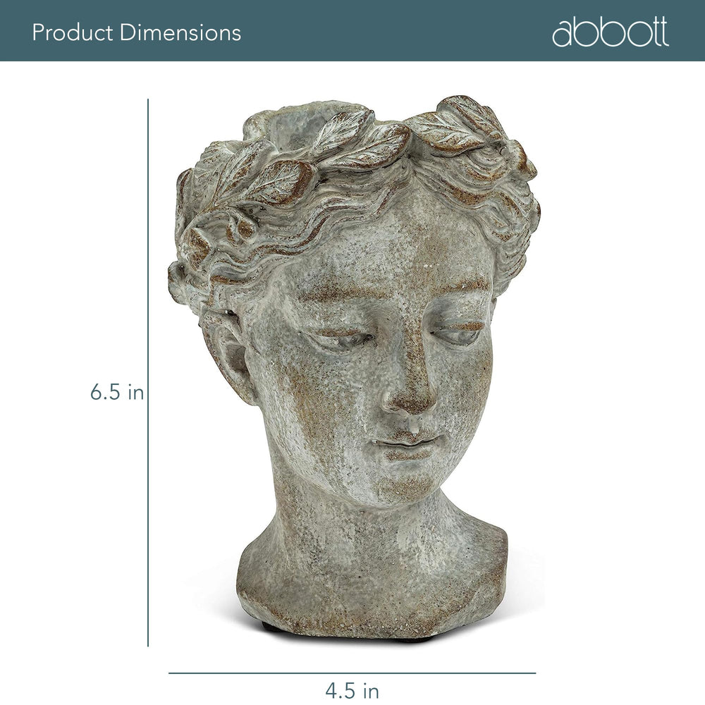 Abbott Collection Home size comparison with hand conveying compact scale