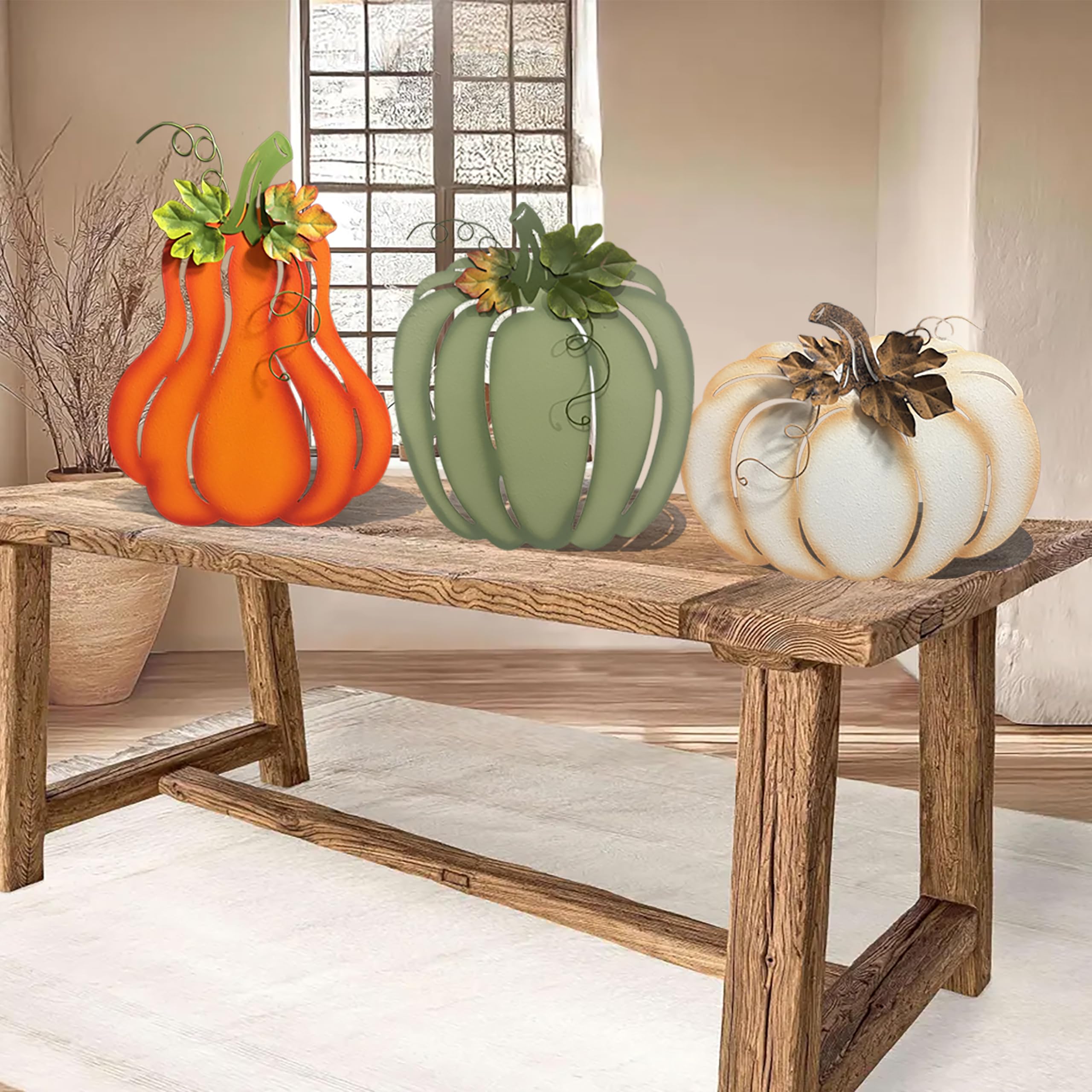 ABELOTS pumpkins beside a ruler showing size variety for easy planning
