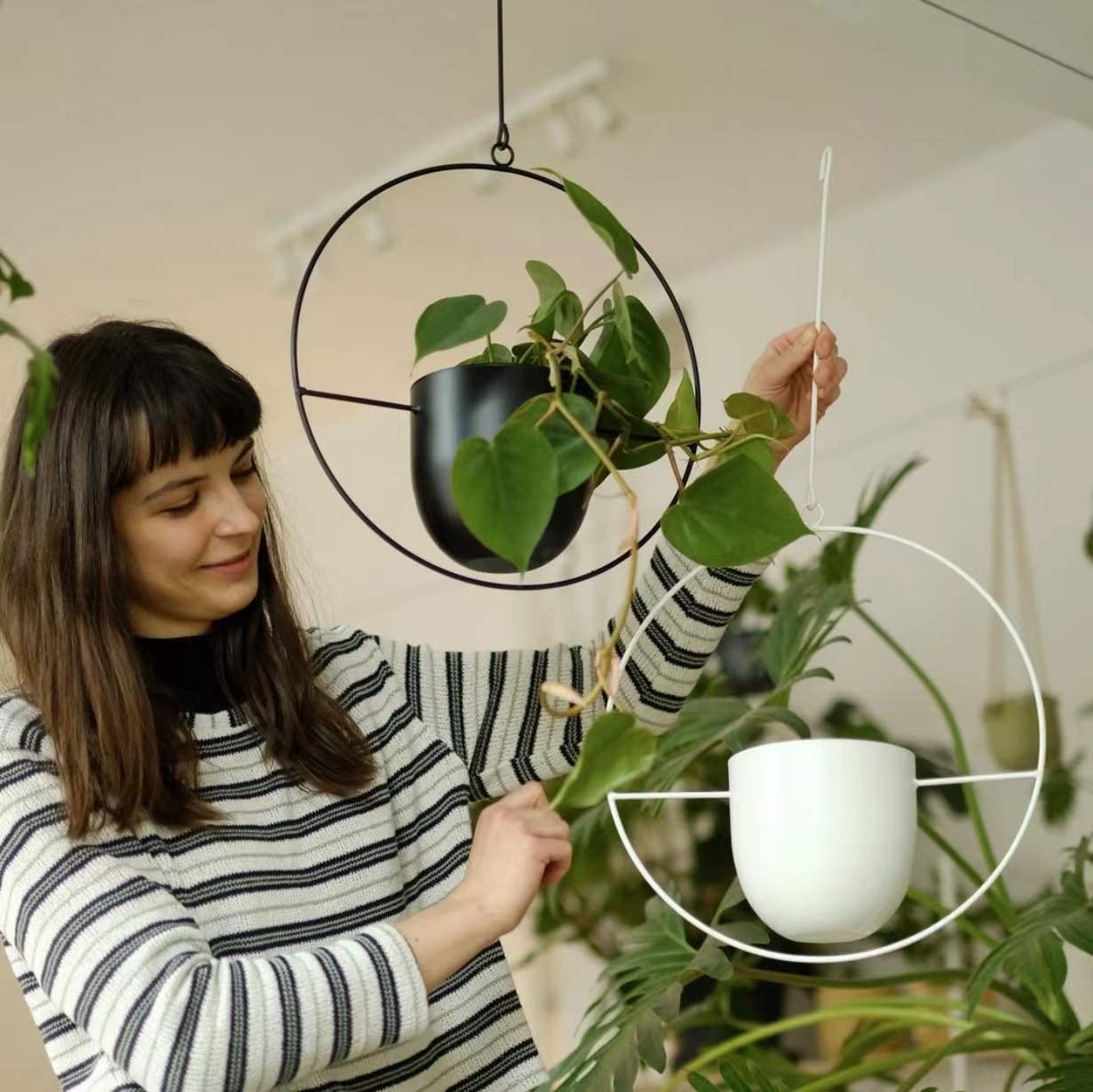ABETREE ceiling-hung planter in use displaying trailing plant and visual appeal