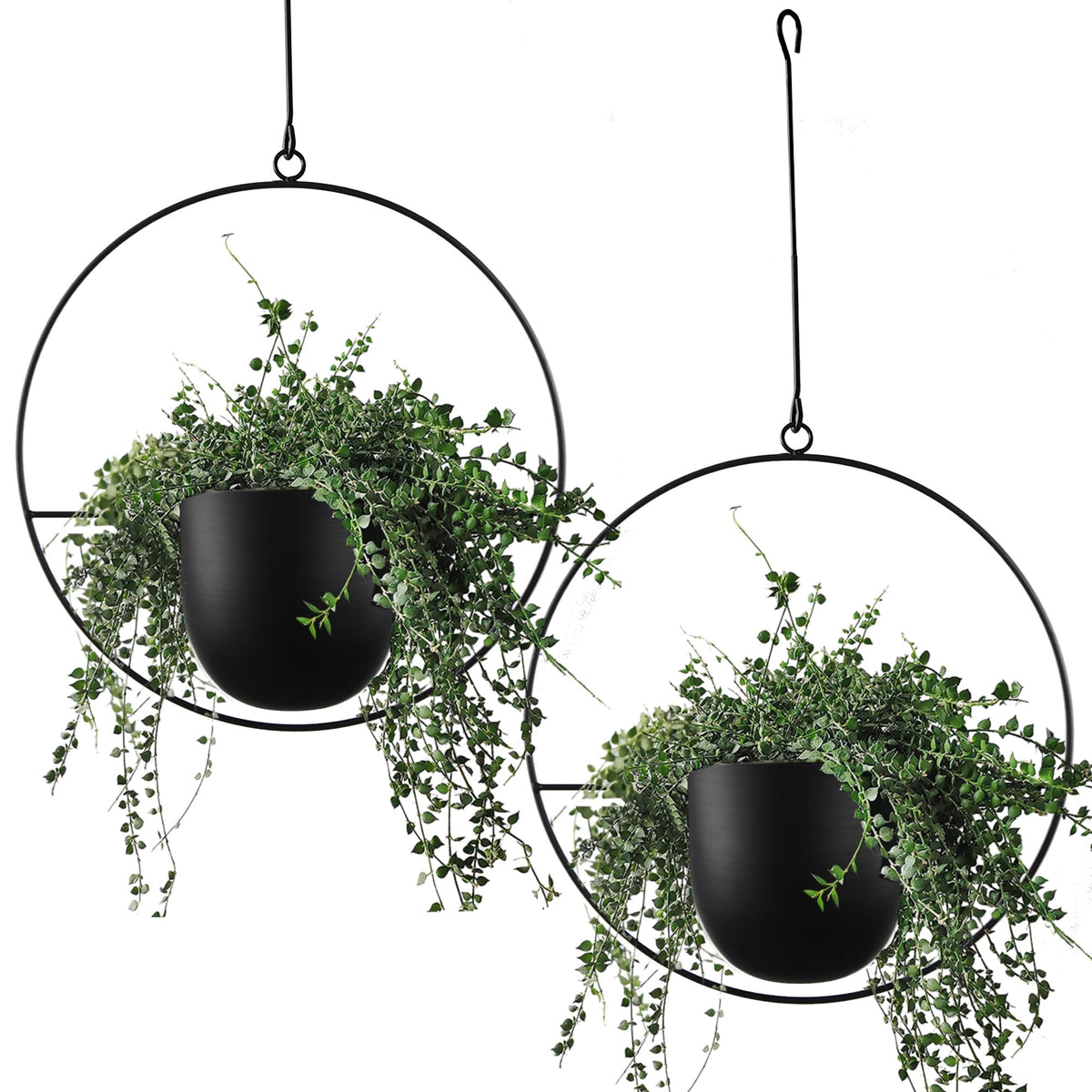ABETREE front view of black metal hanging planters showing modern display benefit