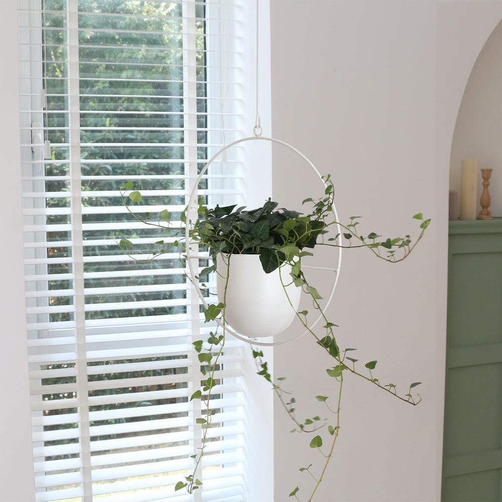 ABETREE planter suspended from ceiling illustrates hanging installation and vertical styling benefit