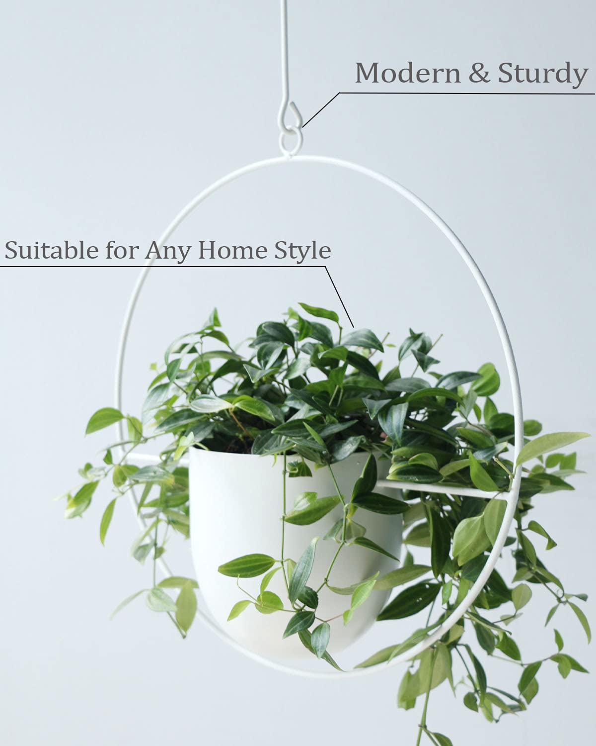 ABETREE size comparison with hand shows pot scale and ideal fit for small plants benefit