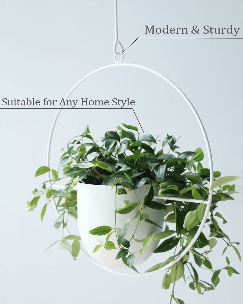 ABETREE size comparison with hand shows pot scale and ideal fit for small plants benefit