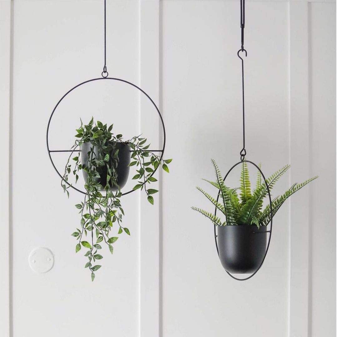 ABETREE wall-mounted planter holding pots to save floor space and brighten room
