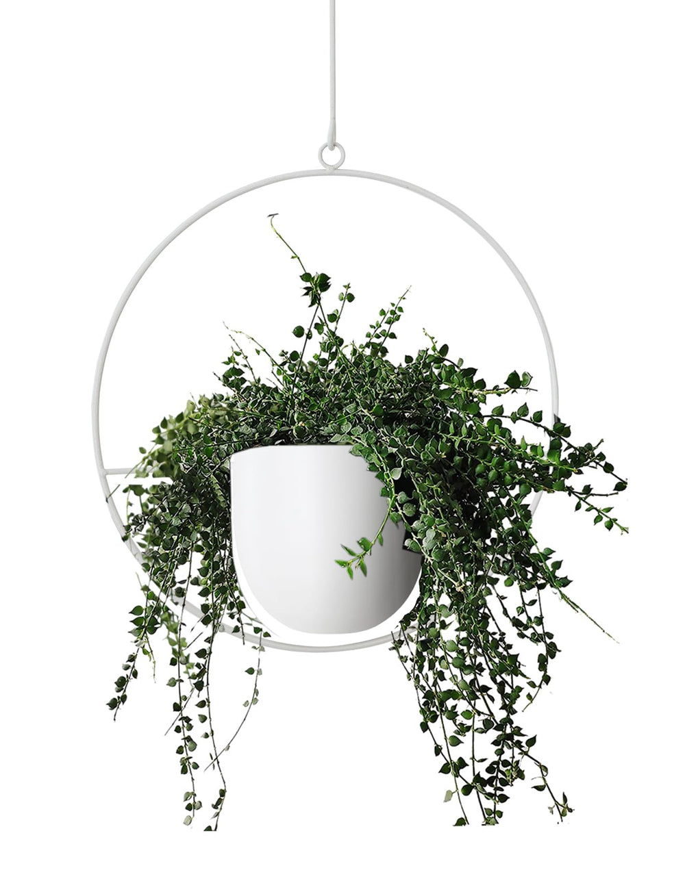 ABETREE white hanging planter front view shows sleek modern lines and space-saving benefit