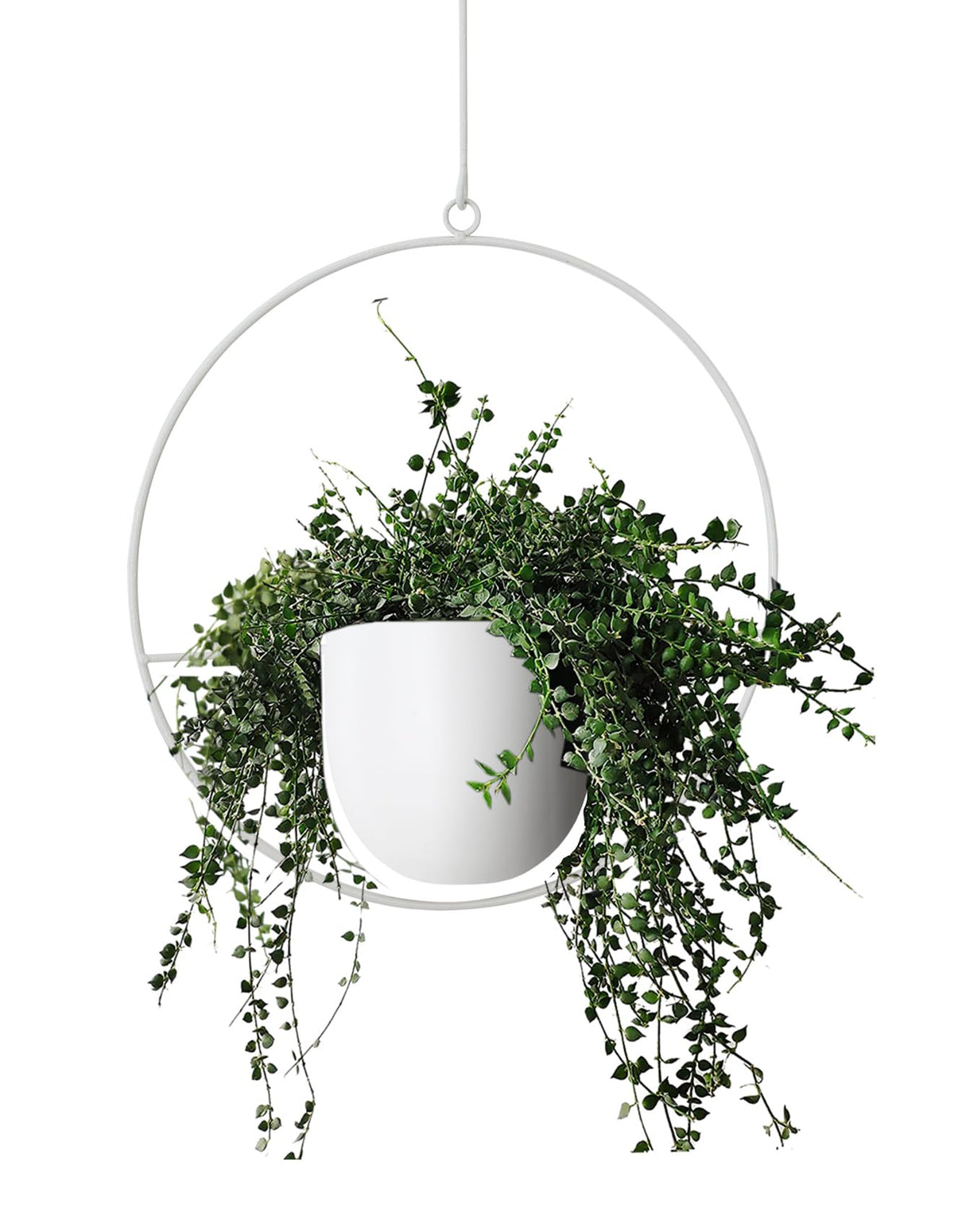 ABETREE white hanging planter front view shows sleek modern lines and space-saving benefit