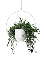 ABETREE white hanging planter front view shows sleek modern lines and space-saving benefit