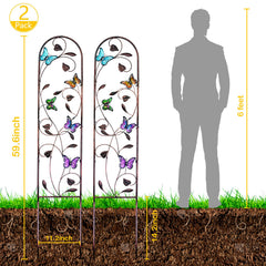 aboxoo butterfly close-up showing colorful accents for visual appeal