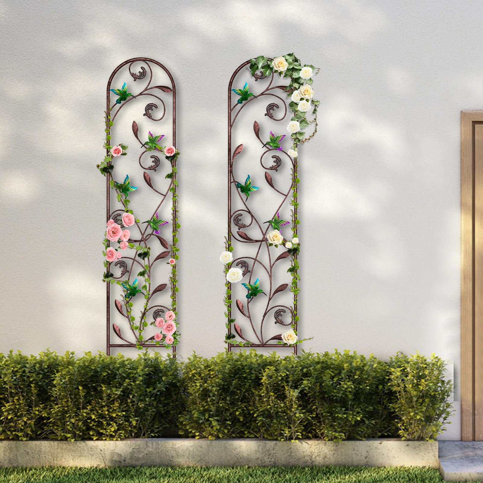 aboxoo container display with climbing vine illustrating versatile placement