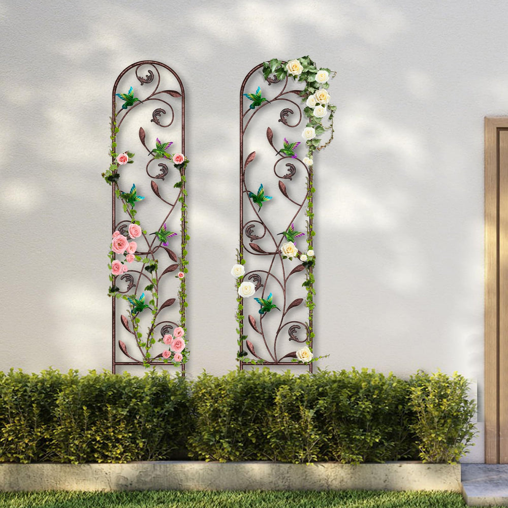 aboxoo container display with climbing vine illustrating versatile placement