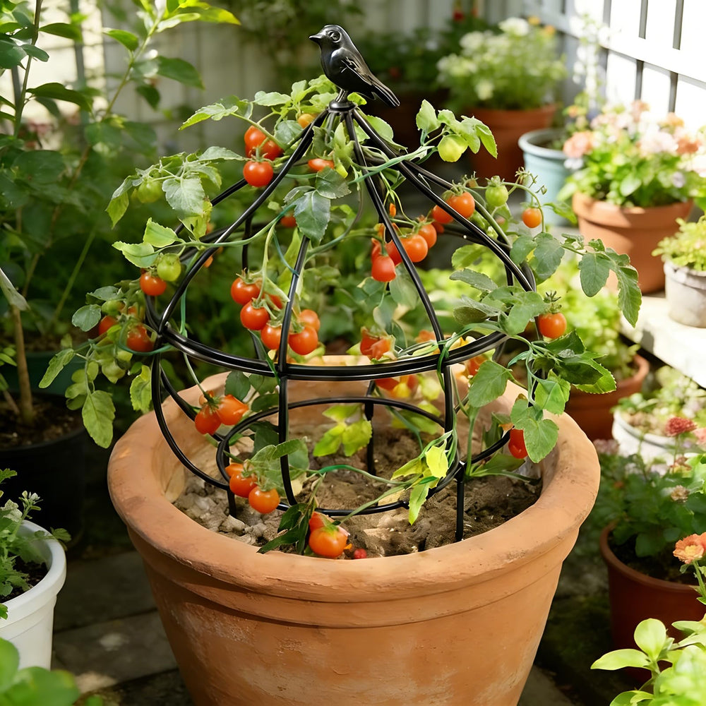 aboxoo lifestyle patio scene showing decorative impact and enhanced plant display