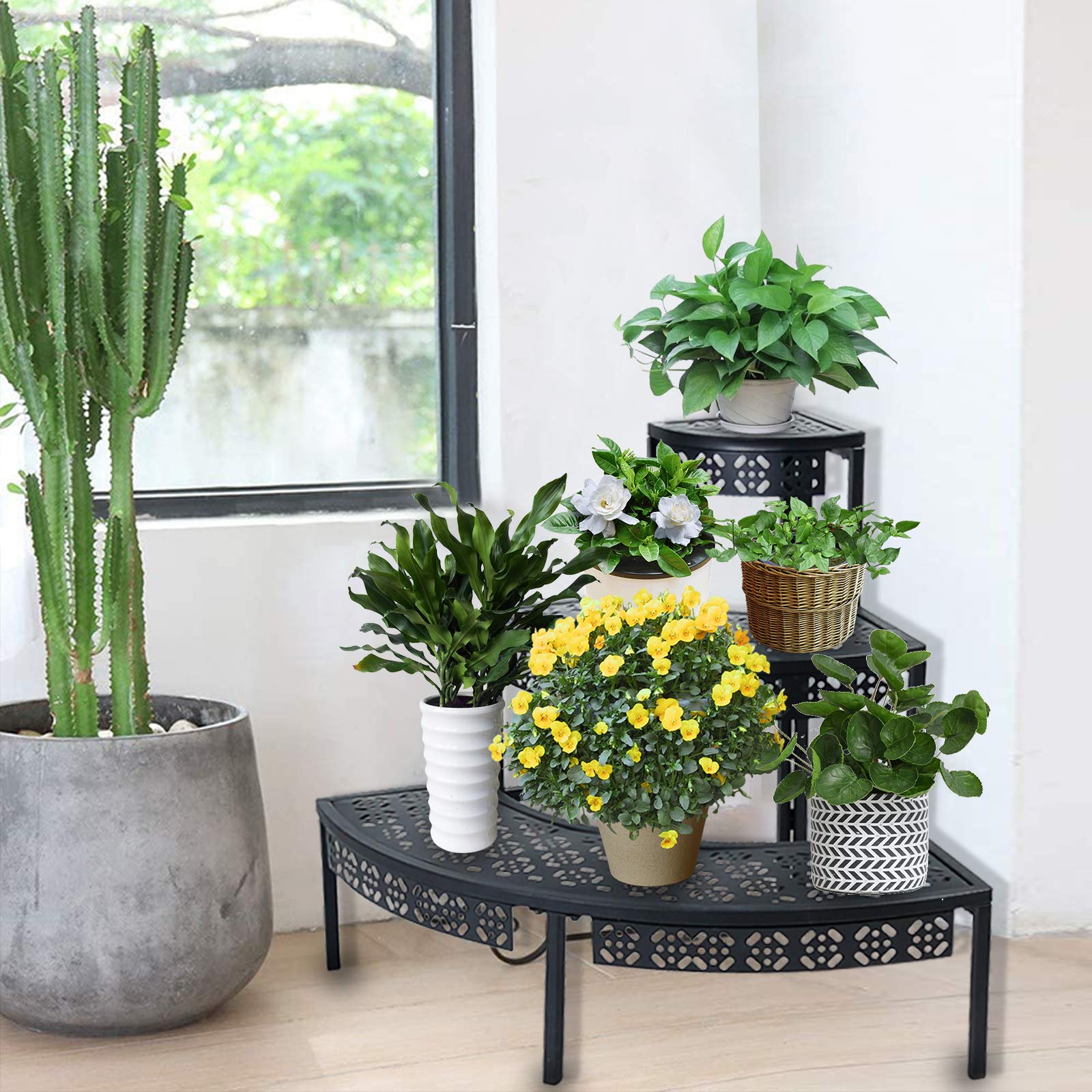 aboxoo vista lateral en escalera que maximiza luz para cada planta