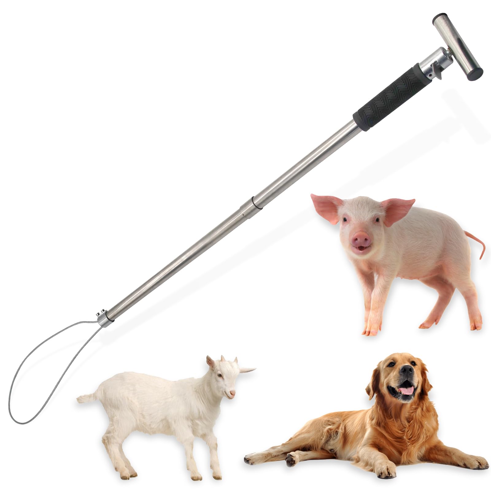 Abustle pig front view of assembled pole showing compact control and portability
