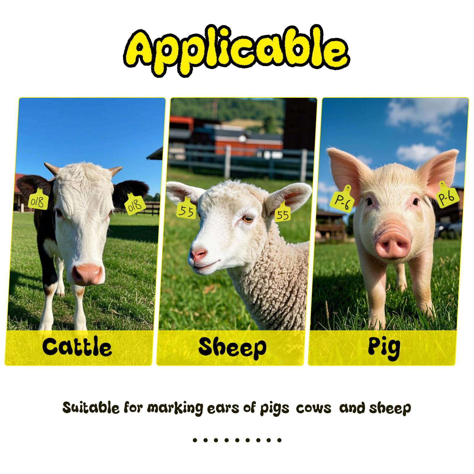 Abustle pig tags visible on cattle at a farm gate for easy herd spotting