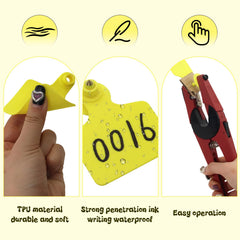 Abustle pig yellow ear tag attached to a sheep ear for quick animal identification
