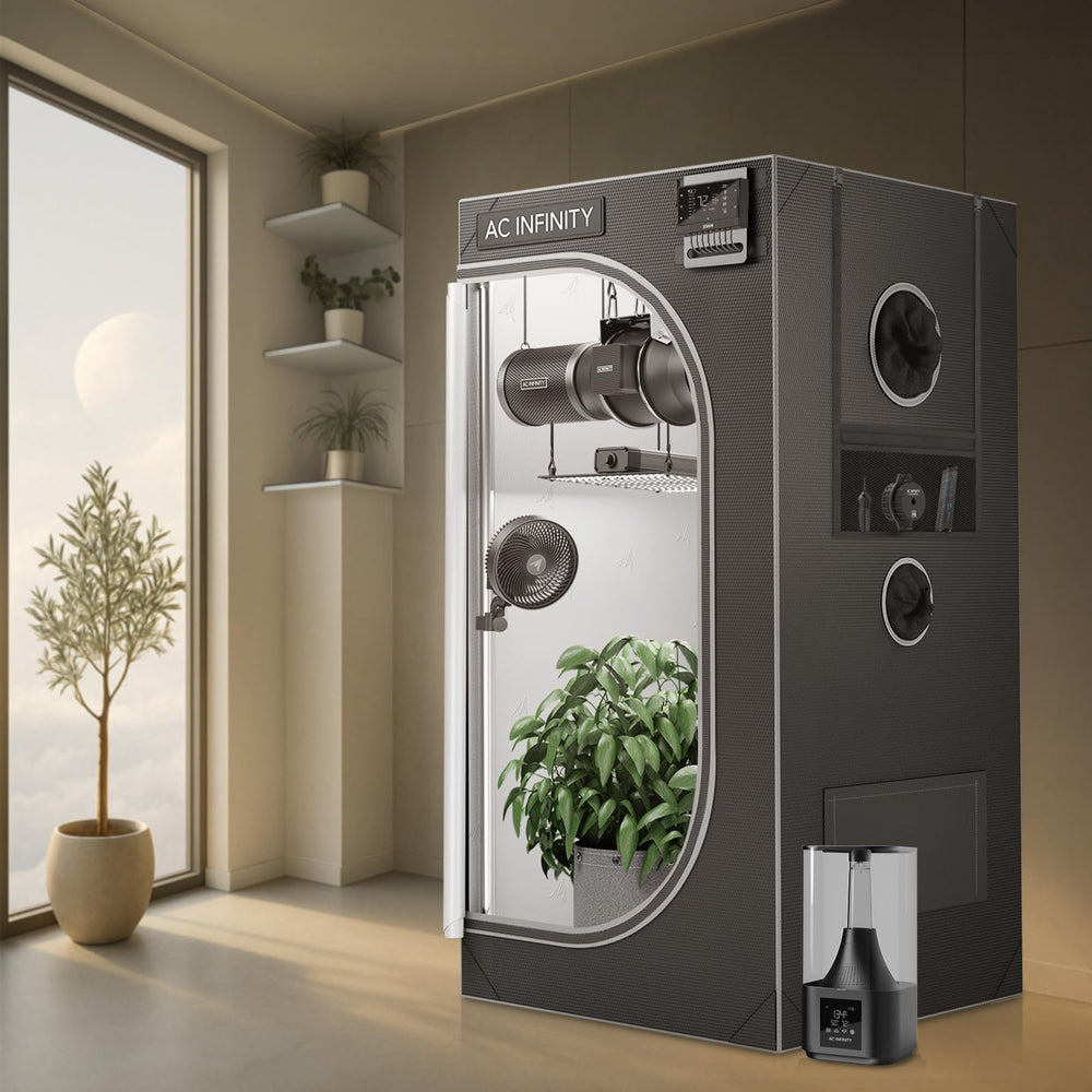 AC Infinity CLOUDLAB 422 size comparison next to a 5-gallon pot illustrating one-plant capacity