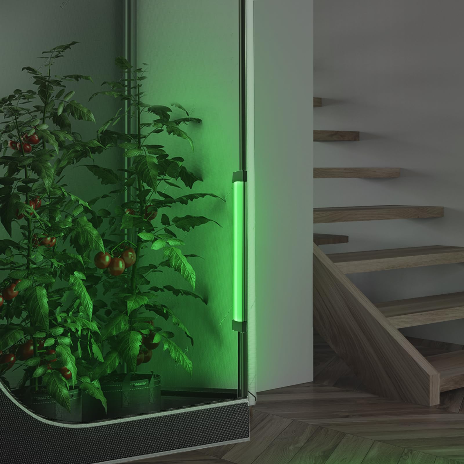 AC Infinity IONBEAM Green used during nighttime plant inspection offering clear non-intrusive light