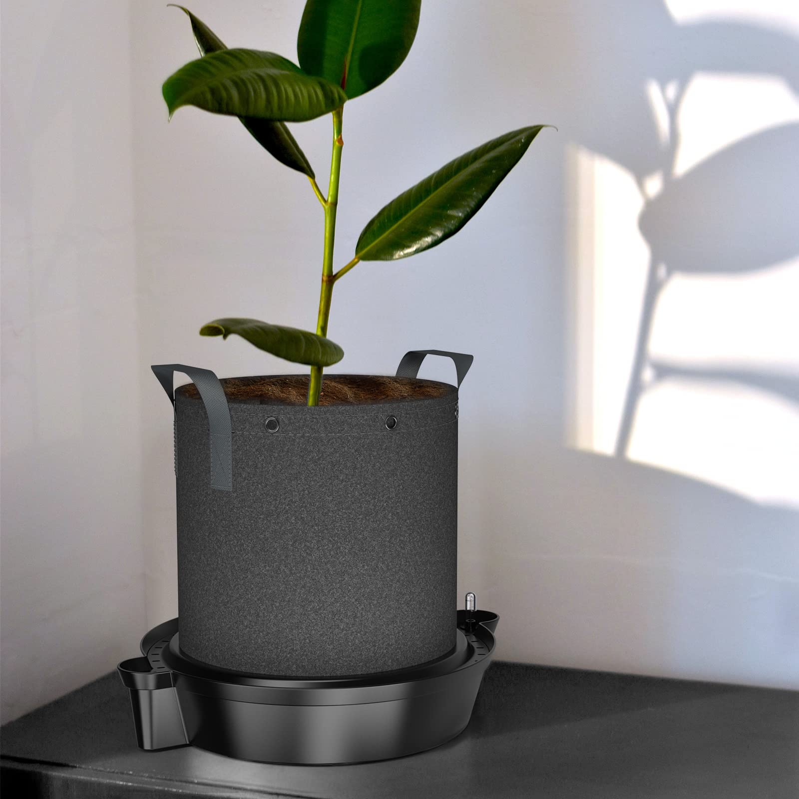 AC Infinity bases under plants in grow room demonstrating tidy irrigation