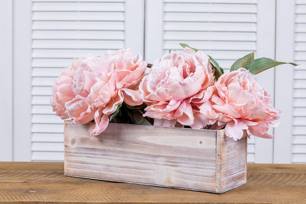 Accent Decor planter filled with succulents on a windowsill offering compact greenery benefit