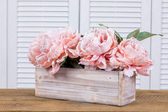 Accent Decor planter filled with succulents on a windowsill offering compact greenery benefit