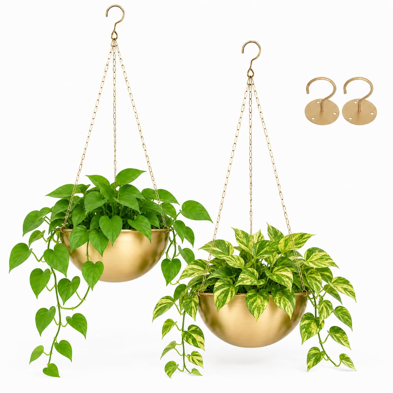 AceList front view showing the gold hanging planter set and attractive finish