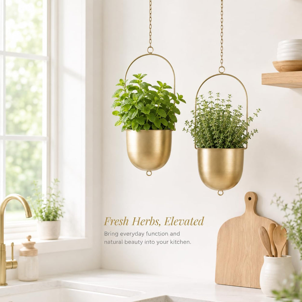 AceList planter mounted from ceiling demonstrating layered plant display