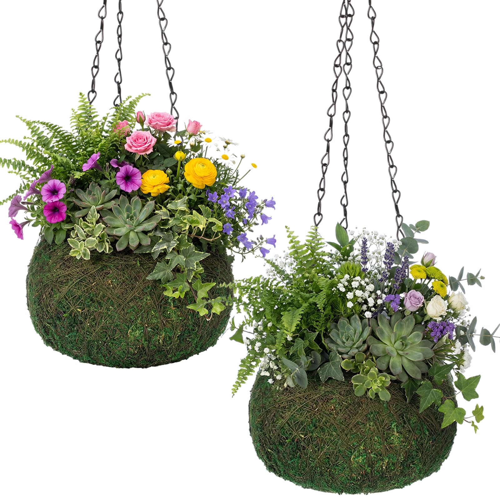 Acellegic front view of two moss-woven hanging pots showing natural decor benefit
