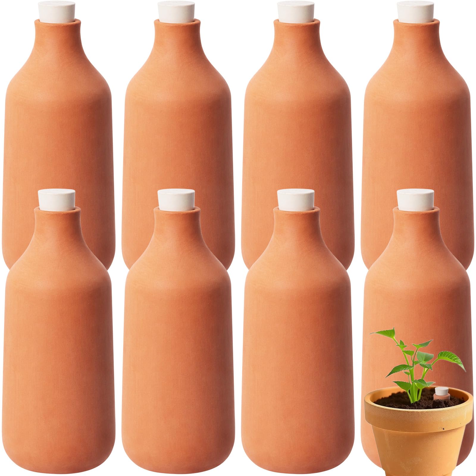 Acellegic front packaging showing the eight-piece terracotta olla kit and benefits
